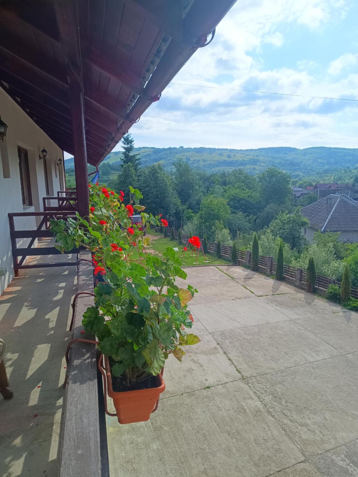Pensiunea In Poiana Glod  Exterior photo